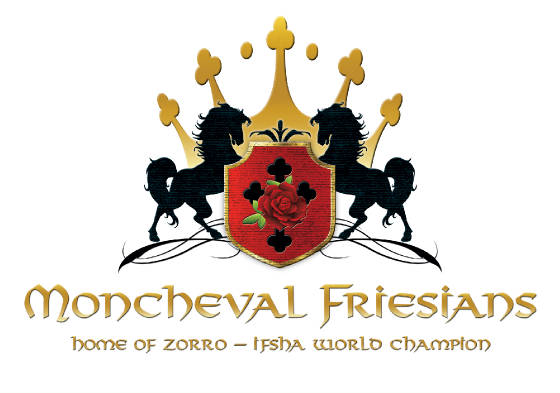 _moncheval_logo.jpg
