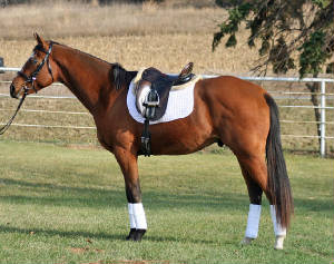 marsstandingprofile110912.jpg